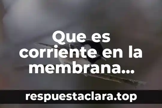 Que es corriente en la membrana celular