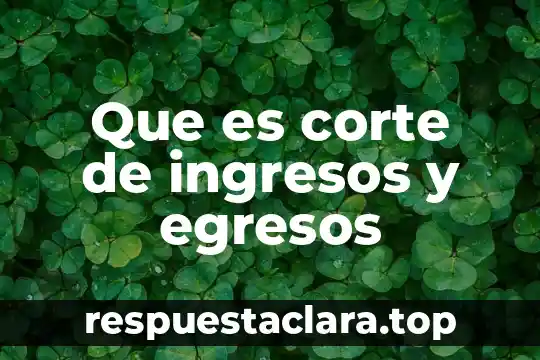 Que es corte de ingresos y egresos