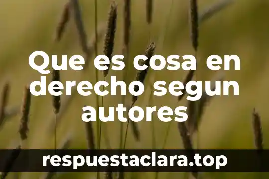 Qué es el paradigma formalista en derecho 3 Que es cosa en derecho segun autores