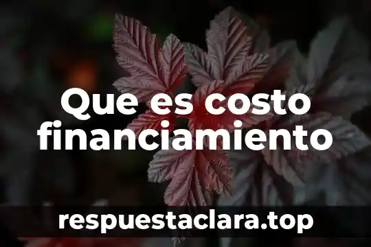Nessus que es y costo 8 Que es costo financiamiento