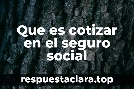 Que es cotizar en el seguro social