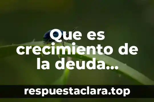 Qué es un gasto y deuda en economía 6 Que es crecimiento de la deuda publica