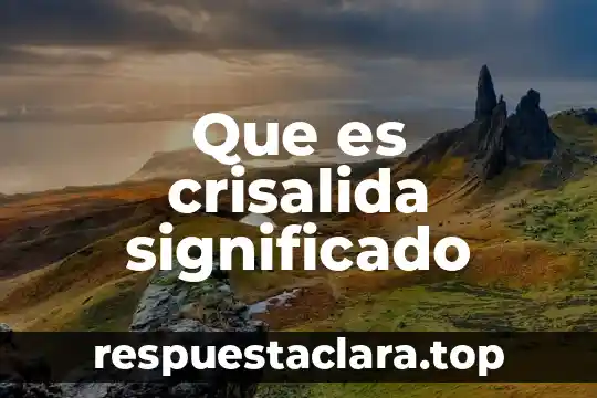 Qué es el valor denotativo 4 Que es crisalida significado
