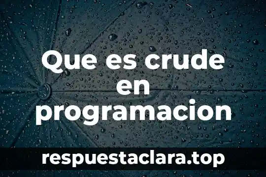 Que es crude en programacion