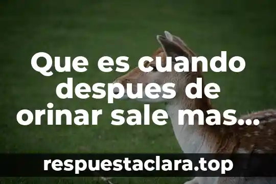Que es cuando despues de orinar sale mas orina