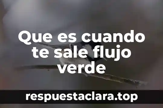 Que es cuando te sale flujo verde