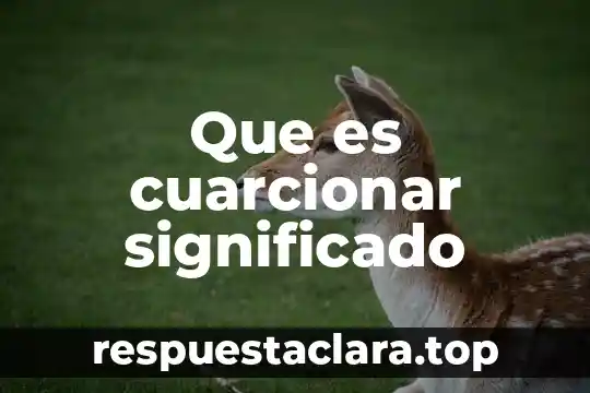 Qué es fetiches significado 5 Que es cuarcionar significado