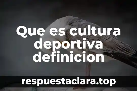 Que es la cultura mediata 5 Que es cultura deportiva definicion