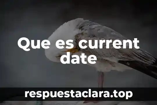 Que es current date