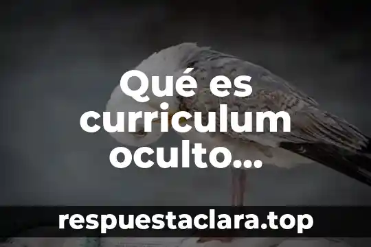 Que es el curriculum oculto en educacion yahoo 6 Qué es curriculum oculto ejemplos