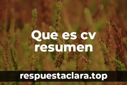 Que es cv resumen