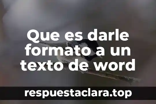 Que es darle formato a un texto de word