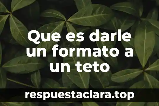 Que es darle un formato a un teto
