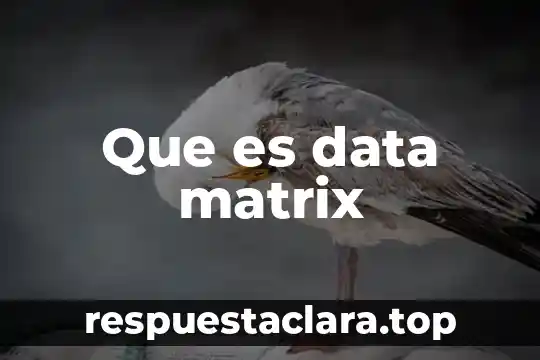 Que es data matrix