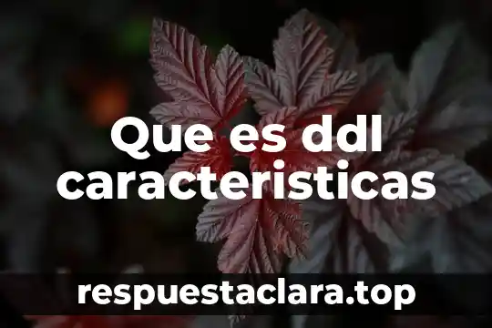 Que es ddl caracteristicas
