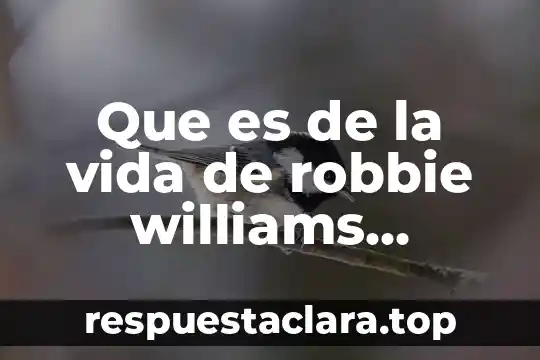 Que es de la vida de robbie williams cantante