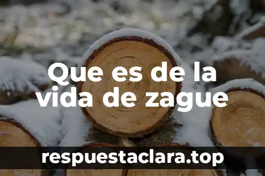 Que es de la vida de zague