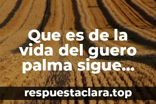 Que es de la vida del guero palma sigue vivo