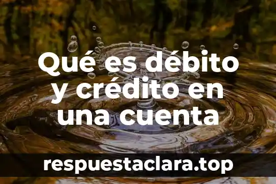Que es tarjeta debito significado 8 Qué es débito y crédito en una cuenta