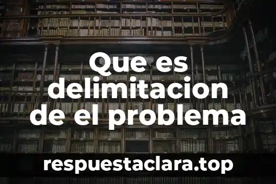Que es delimitacion de el problema