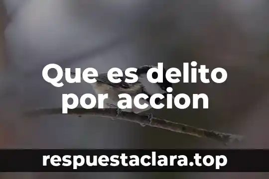 Que es delito por accion