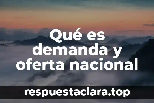 Qué es demanda y oferta nacional