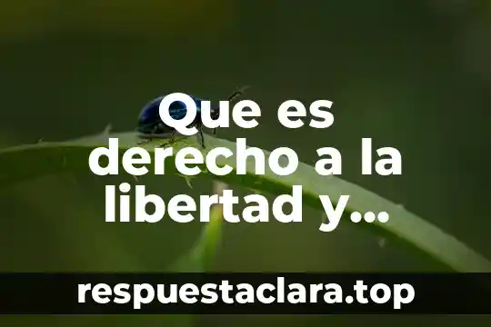 Que es derecho a la libertad y seguridad personal