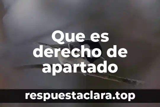 Qué es metáfora y ejemplo 5 Que es derecho de apartado