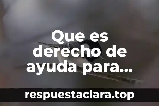 Qué es el paradigma formalista en derecho 6 Que es derecho de ayuda para lactancia