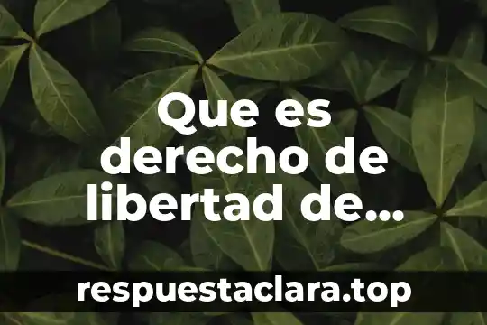 Que es derecho de libertad de comercio y trabajo