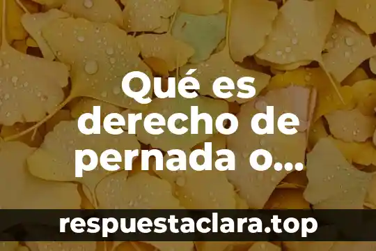 Qué es derecho de pernada o prima nocti
