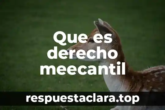 Que es la firma en derecho amparo 3 Que es derecho meecantil