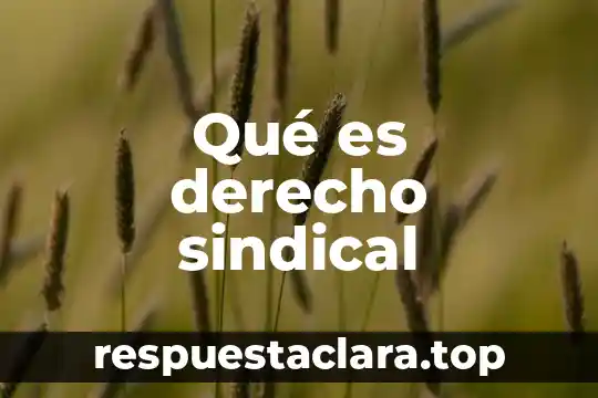 Qué es derecho sindical