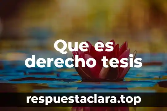 Que es derecho tesis