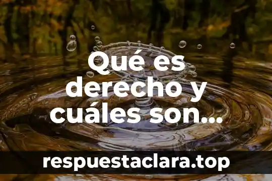 Qué es derecho y cuáles son características