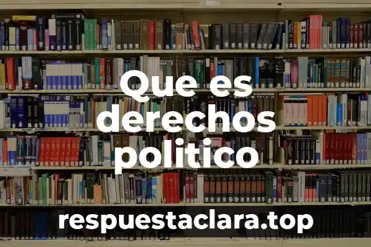 Que es el cartron politico 3 Que es derechos politico
