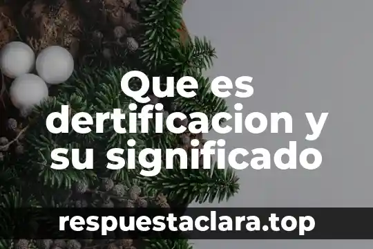 Qué es Sades significado 6 Que es dertificacion y su significado
