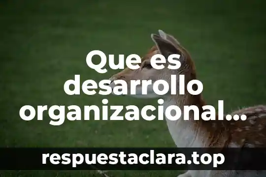 Que es desarrollo en espiral 3 Que es desarrollo organizacional definicion