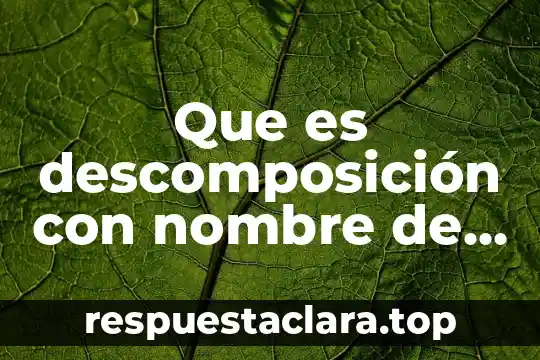 Biopsicosocial autor que es 4 Que es descomposición con nombre de autor