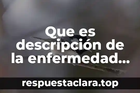 Que es descripción de la enfermedad generada