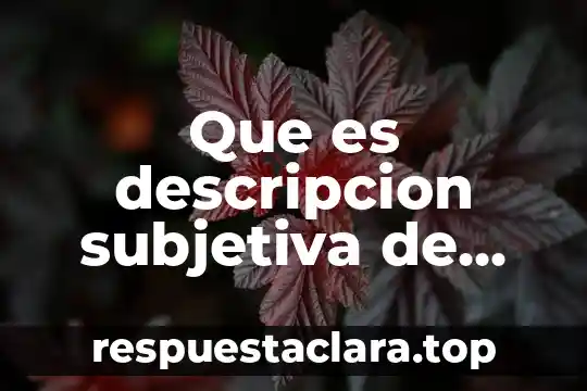 Que es descripcion subjetiva de una persona