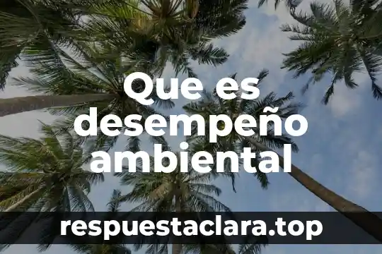 Qué es la libertad resumido 4 Que es desempeño ambiental