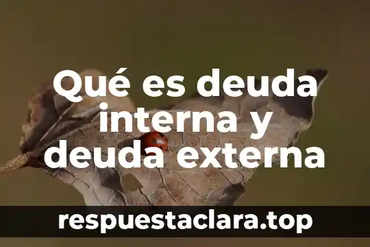 Qué es un gasto y deuda en economía 5 Qué es deuda interna y deuda externa