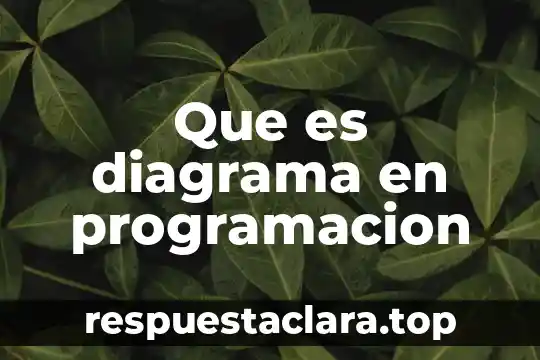 Que es diagrama en programacion
