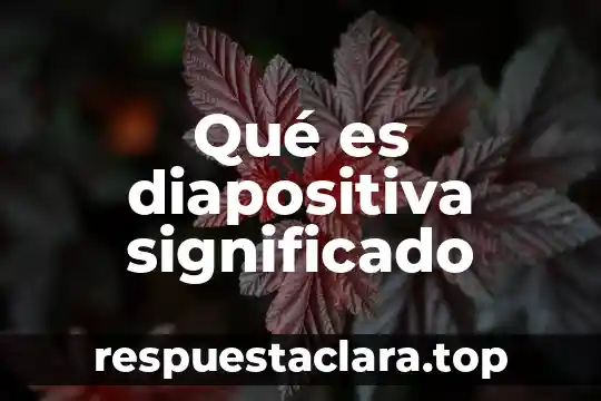 Qué es el virus del herpes viridae significado 8 Qué es diapositiva significado