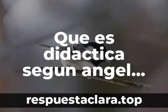 Que es didactica segun angel diaz barriga
