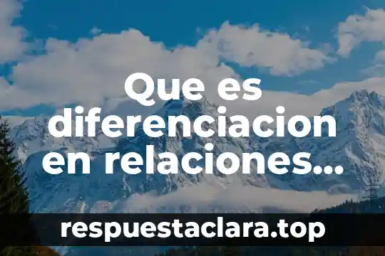 Que es diferenciacion en relaciones internacionales