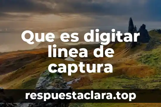 Que es digitar linea de captura