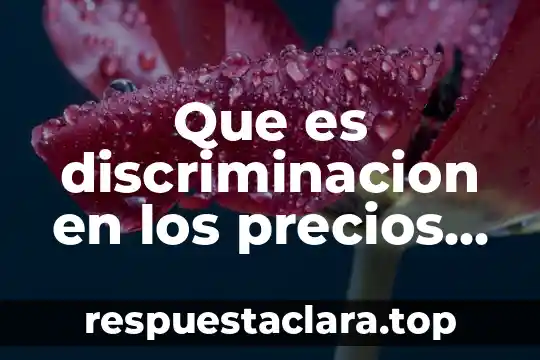 Que es mercados aeroportuarios en mexico 6 Que es discriminacion en los precios en mercados tecnologicos