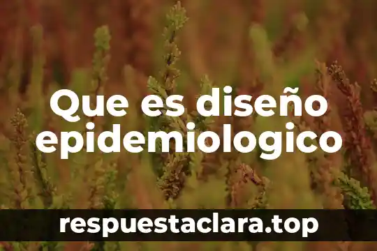 Que es diseño de portadas 3 Que es diseño epidemiologico